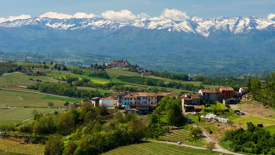 Fiere nelle Langhe