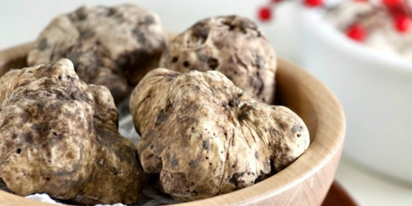 Trifola d'Or Murisengo