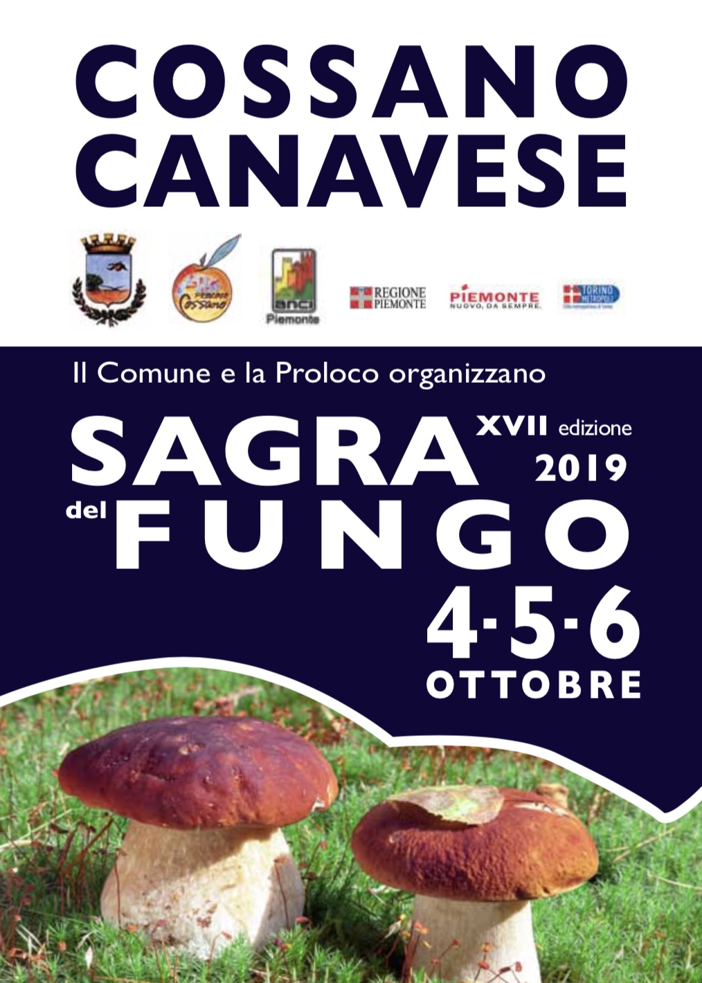 Sagra del Fungo 2019