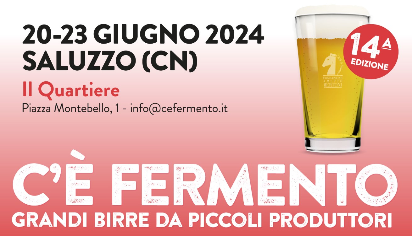  C’è Fermento locandina
