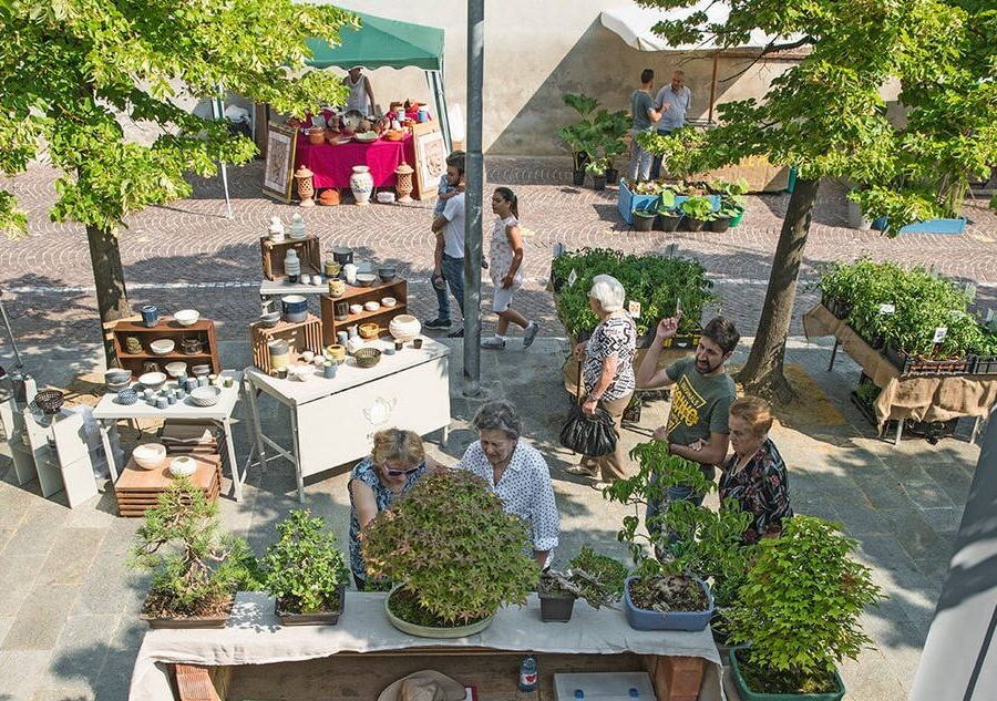 Cellarinia - Mostra Mercato di Fiori, Piante e Ceramica foto