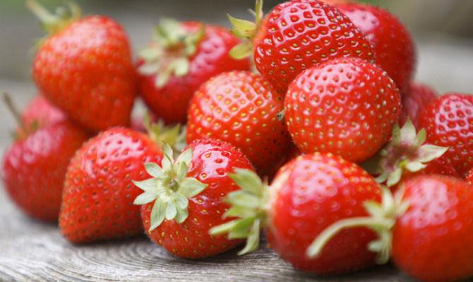 Sagra della Fragola locandina
