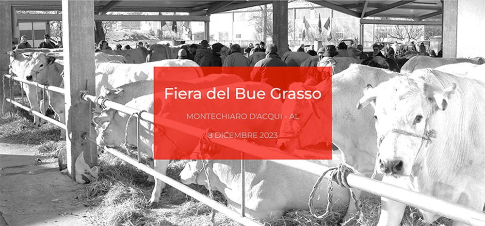 Fiera Regionale del Bue Grasso