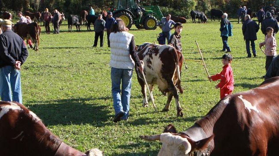 Fiera del Bestiame di San Carlo Quincinetto