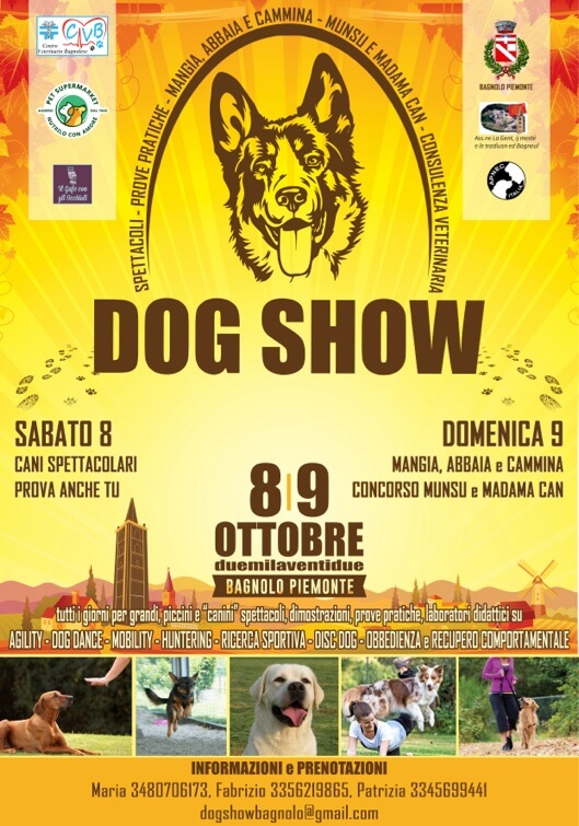 Dog Show