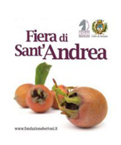 Fiera di Sant'Andrea Saluzzo