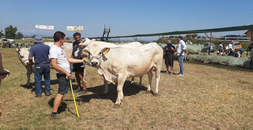 Locandina evento Fiera dell’Aglio e del Pitu